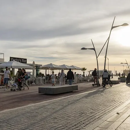 Bayline Xv Armação de Pêra